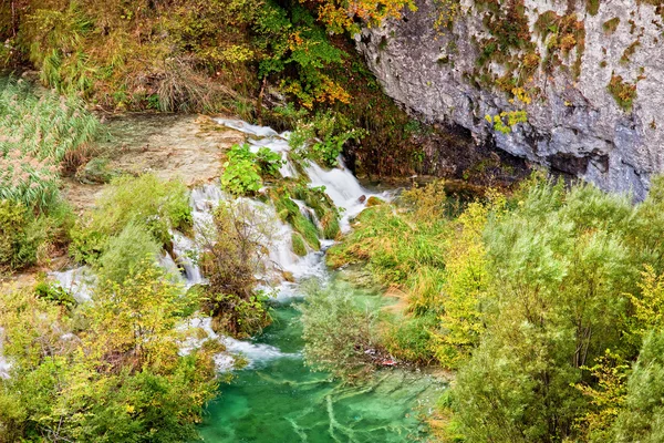 Paysage de ruisseau de montagne — Photo