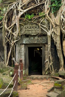 Ta Prohm Temple in Cambodia clipart