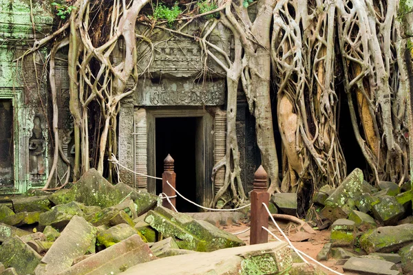Templo de Ta Prohm en Camboya — Foto de Stock