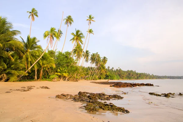 Tropický ostrov v Thajsku — Stock fotografie