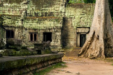 Ta Prohm Temple in Cambodia clipart
