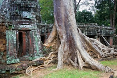 Ta Prohm Temple in Cambodia clipart