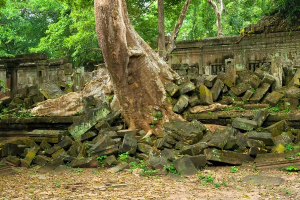 在丛林中的景区寺庙废墟 — 图库照片
