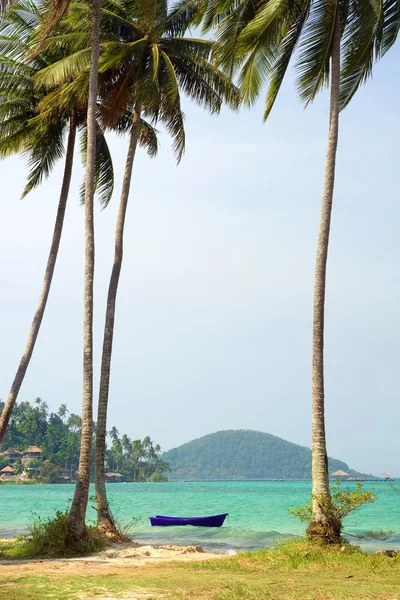 Tropiska kusten — Stockfoto