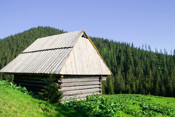 Dřevěná chata v Tatrách — Stock fotografie