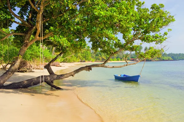Tropisch eiland landschap — Stockfoto