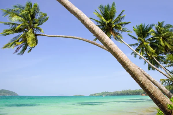 Tropiska landskap — Stockfoto