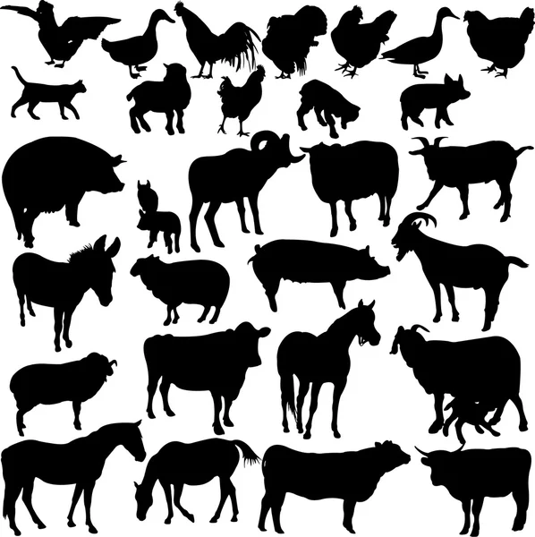 Animales de granja Ilustración De Stock