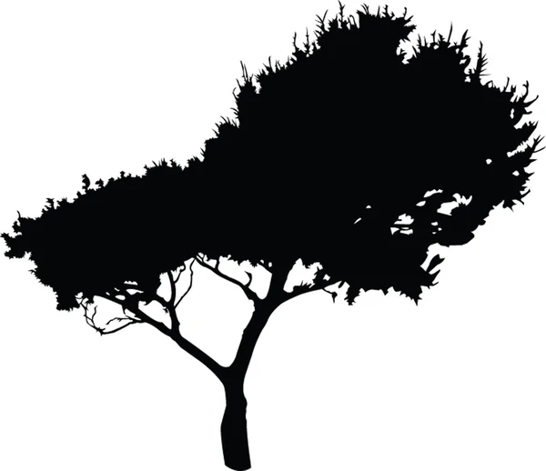 Дерево 2 - вектор — стоковый вектор