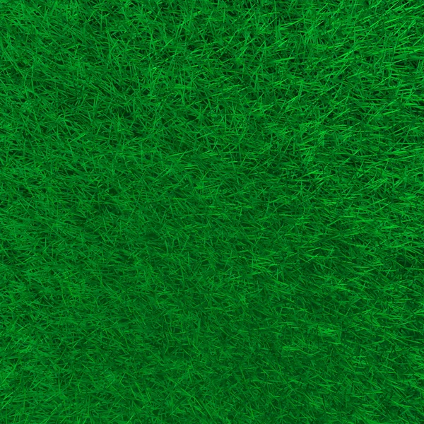 Background Image Field Grass — Stock Photo, Image