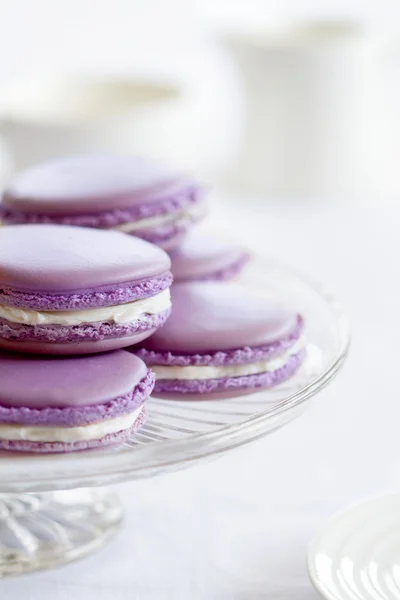 Lavender macarons — Stock Photo, Image