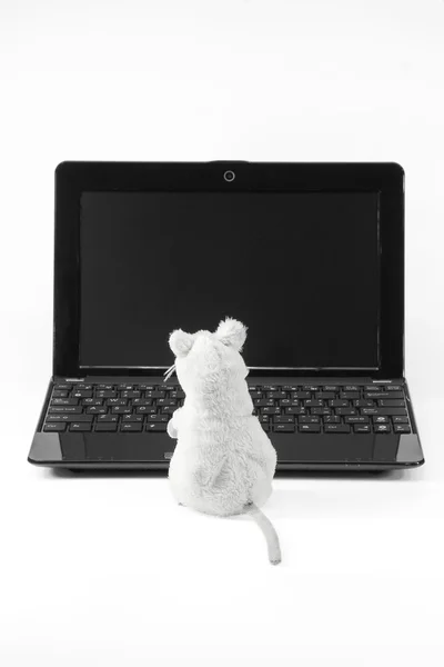 笔记本电脑和鼠标 — 图库照片