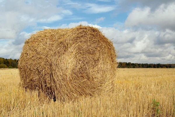 Haystack in the field — Stock Photo, Image