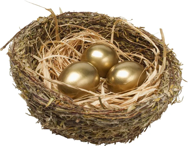 stock image Easter eggs in the nest