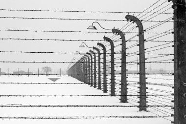 Auschwitz camp, Poland clipart