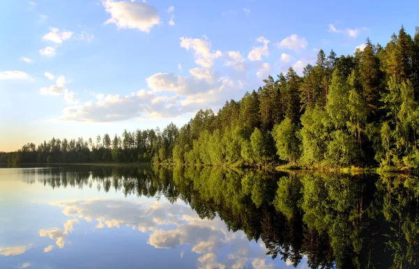 Мирный Пейзаж Озере Севере Швеции — стоковое фото
