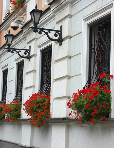 Fasad med röda blommor — Stockfoto