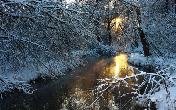 stock image Landscape, winter, sun, frost, forest, snow, steam