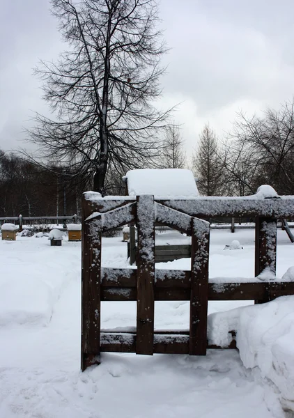 stock image Winter landscape