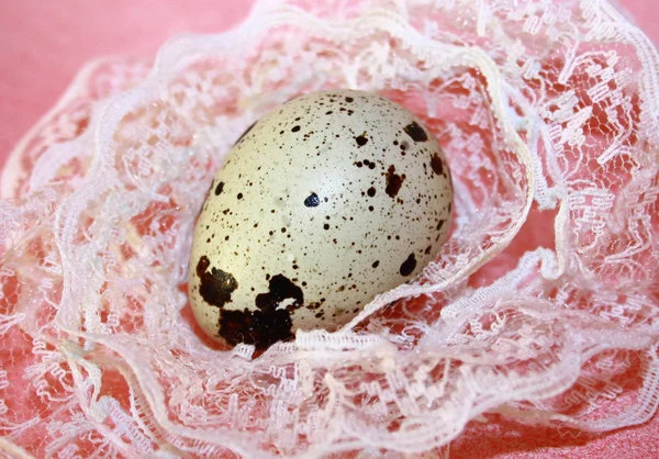 Jaj w gnieździe koronki — Zdjęcie stockowe