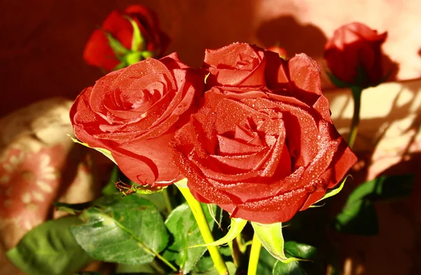 A bouquet of red roses — Stock Photo, Image