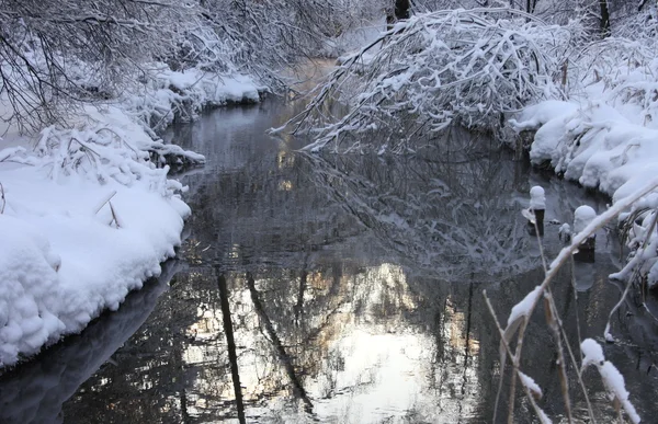 stock image Winter landscape