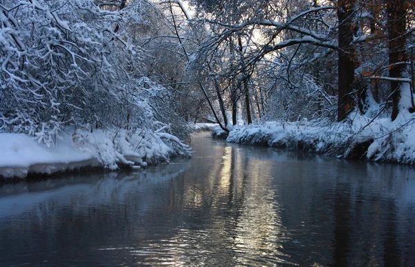 stock image Winter landscape