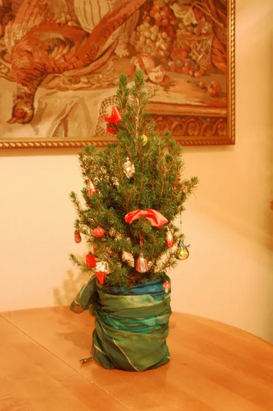 Árvore de Natal na cozinha — Fotografia de Stock