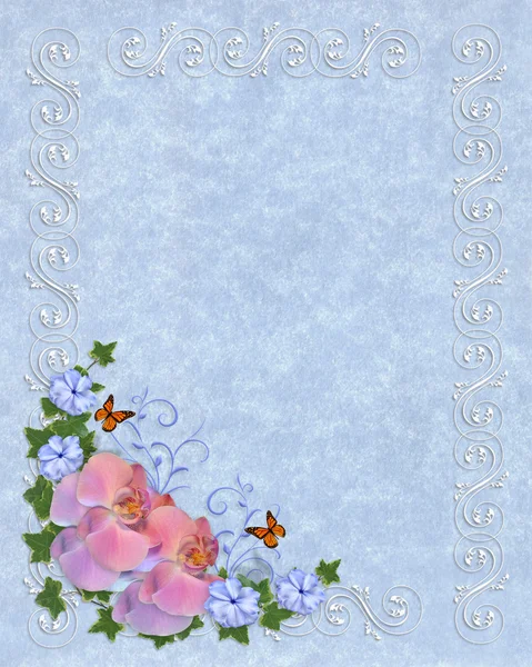 青い羊皮紙テンプレート上の蘭の花 — ストック写真