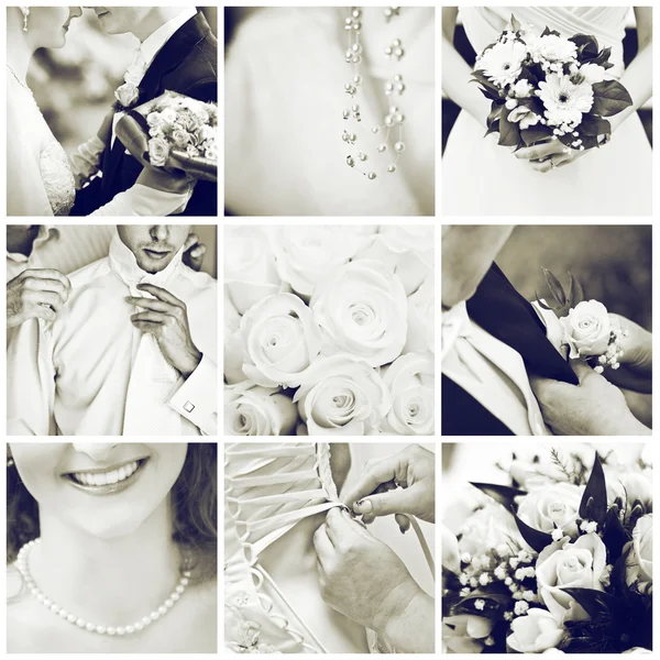 Svatební kolekce — Stock fotografie