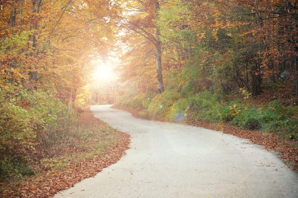 A curving autumn road — Stock Photo, Image