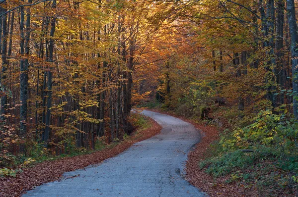 Kıvrımlı bir sonbahar yol — Stok fotoğraf