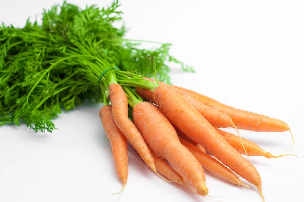 Zanahorias Aisladas Blanco —  Fotos de Stock