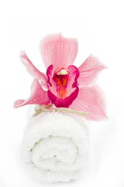Ručníky s orchidejí — Stock fotografie