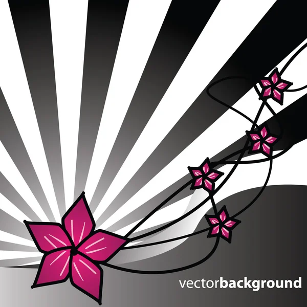 Vector bright sun flowers — Stock Vector