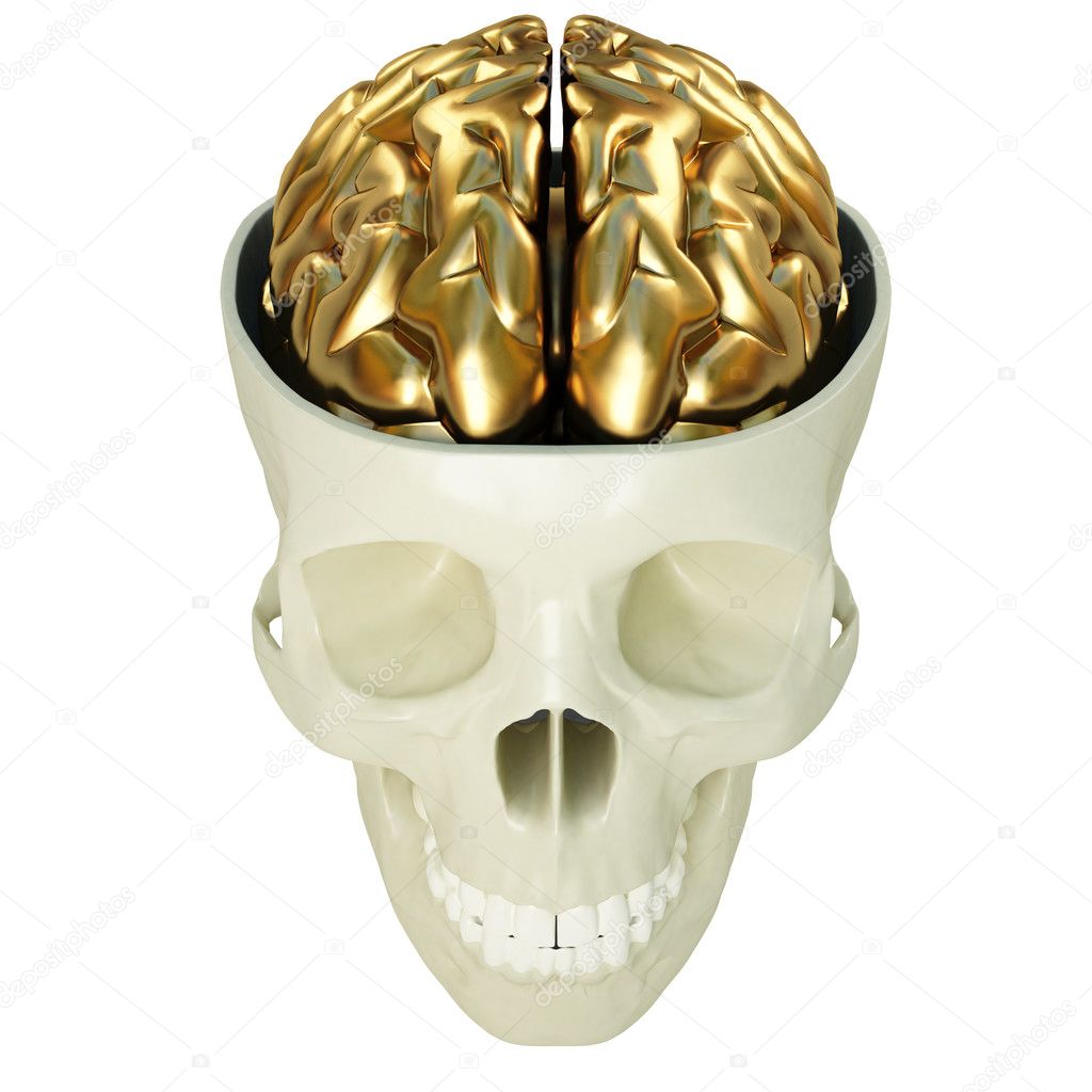 Golden brains