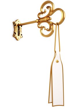 Golden key with a tag is inserted into the keyhole. isolated on white. with clipping path. clipart