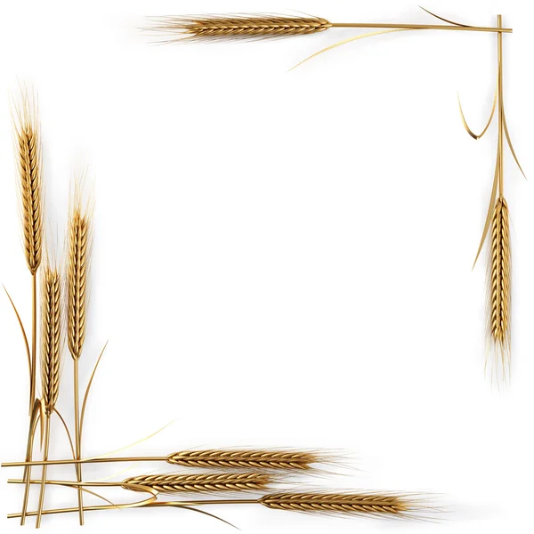 Spikelets — 스톡 사진