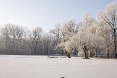 Winter park manzarası ve güneş!