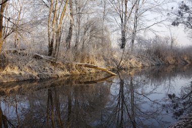 Winter park manzarası ve güneş!