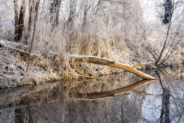 Winter park manzarası ve güneş!