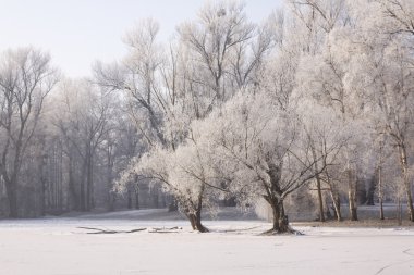 Winter park manzarası ve güneş!