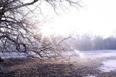 Winter park manzarası ve güneş!