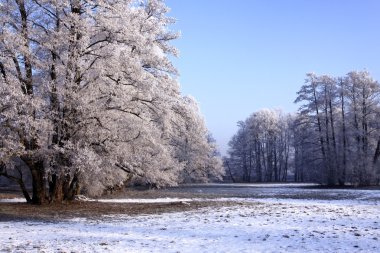 Winter park manzarası ve güneş!