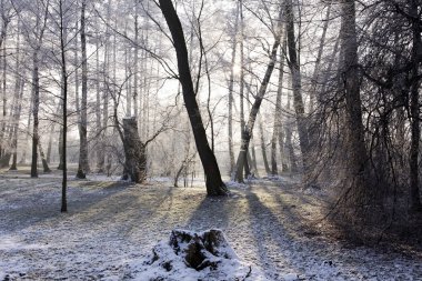 Winter park manzarası ve güneş!