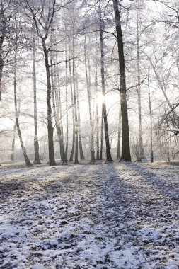 Winter park manzarası ve güneş!