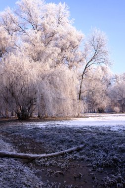 Winter park manzarası ve güneş!