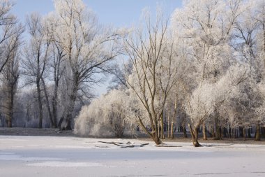 Winter park manzarası ve güneş!