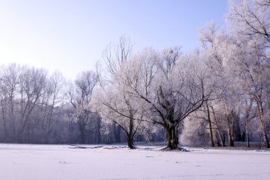 Winter park manzarası ve güneş!