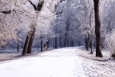 Winter park manzarası ve güneş!